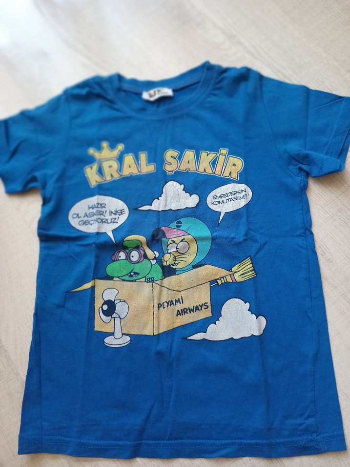 Renkli Baskılı Kral Şakir Erkek Tişörtü - Görsel 3