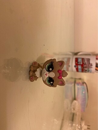 kedi miniş