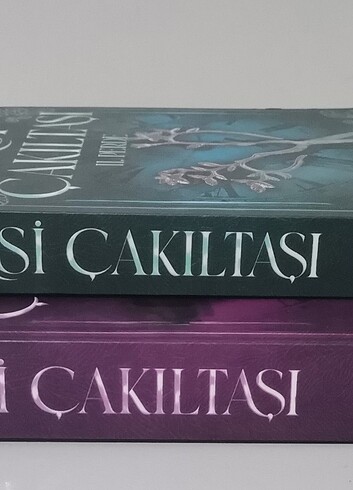  Binnur Safak Nigiz Asi Çakıltaşı 1-2