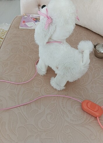 Diğer Oyuncak köpek 
