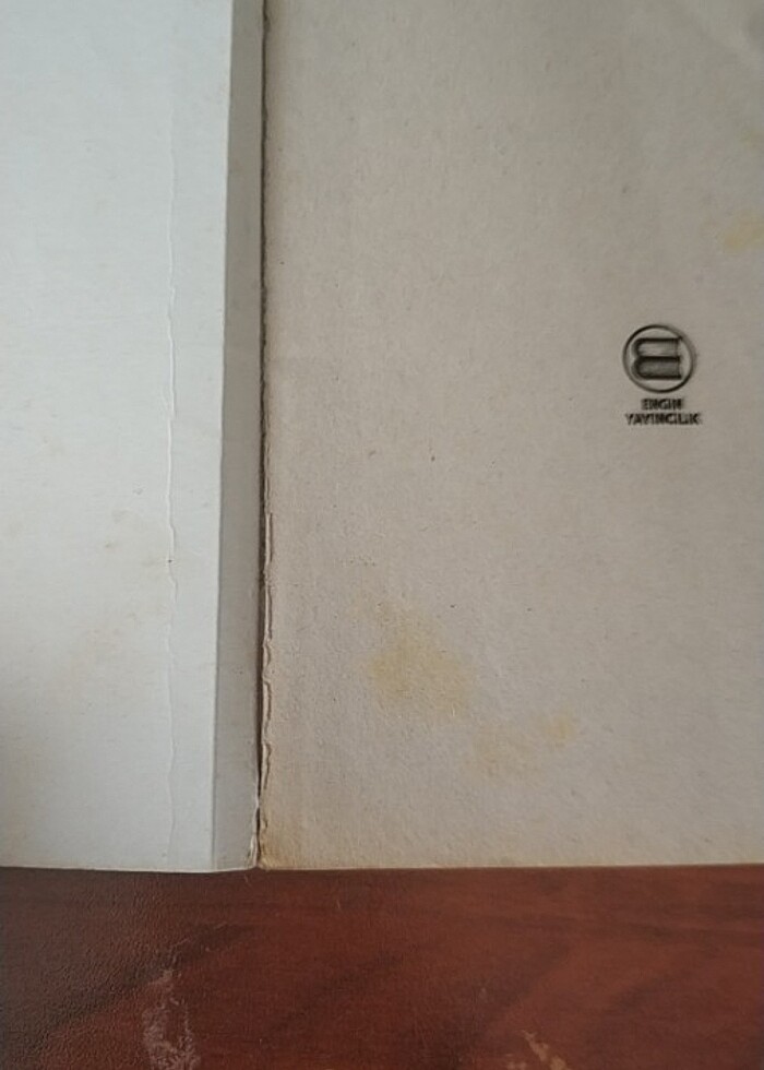 Polyanna - Görsel 2