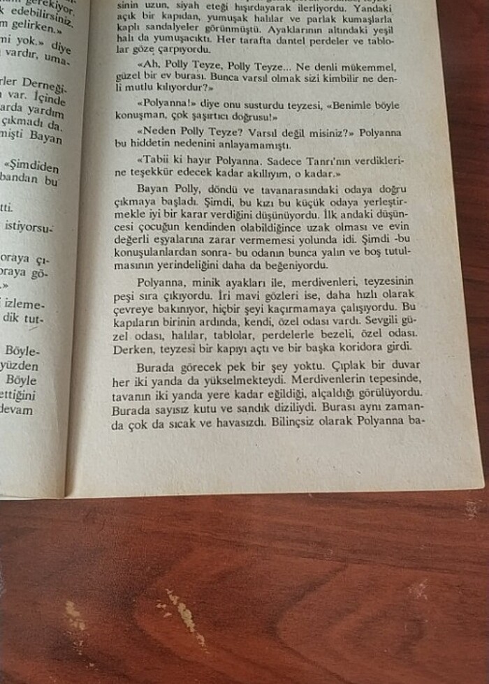 Polyanna - Görsel 3