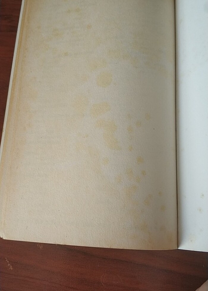 Lüzumsuz Adam  - Görsel 3