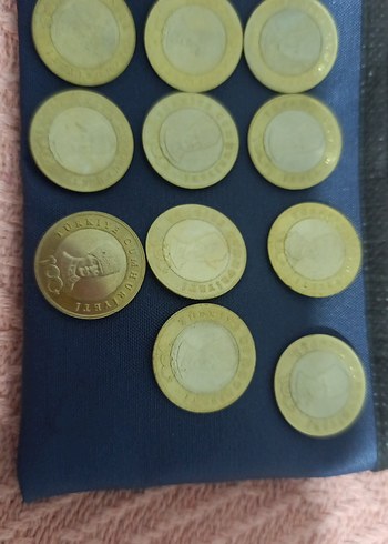 Altın Renkli Erkek Rozeti 5 TL - Görsel 4