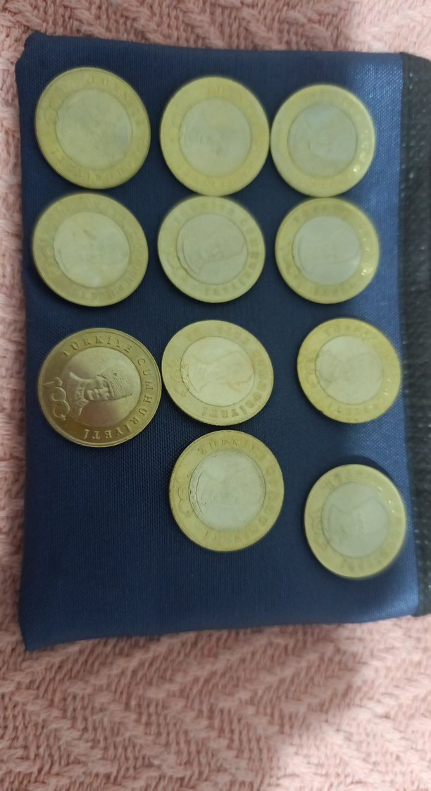 Altın Renkli Erkek Rozeti 5 TL - Görsel 4