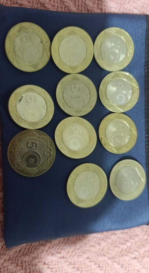 Altın Renkli Erkek Rozeti 5 TL - Görsel 3