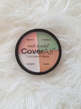 Wetn wild correcter palet 