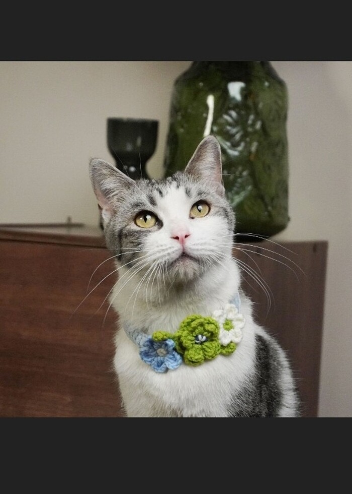 kedi yakalık fular kolye kedi aksesuarı  - Görsel 2