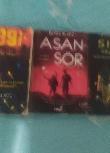 Beyza Alkoç kitap