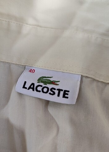 Lacoste kadın gömlek