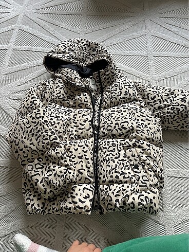 Leopar desenli mont