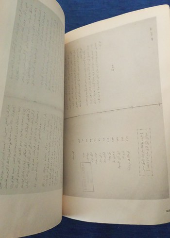 Ateş ve Güneş - Falih Rıfkı Atay Üzerine - Görsel 3