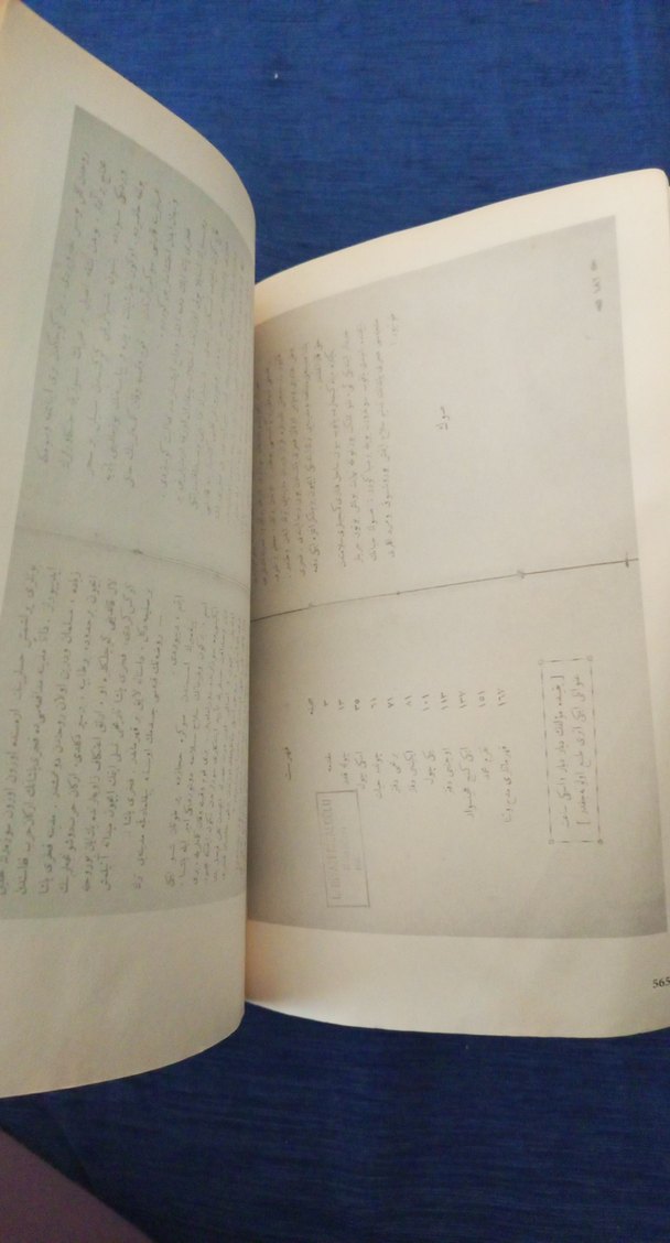 Ateş ve Güneş - Falih Rıfkı Atay Üzerine - Görsel 3