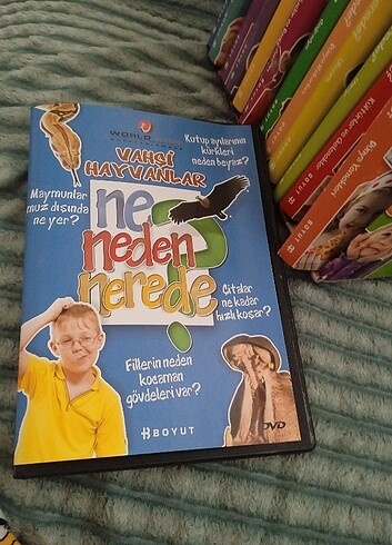  Beden Renk Boyut yayınları DVD seti 