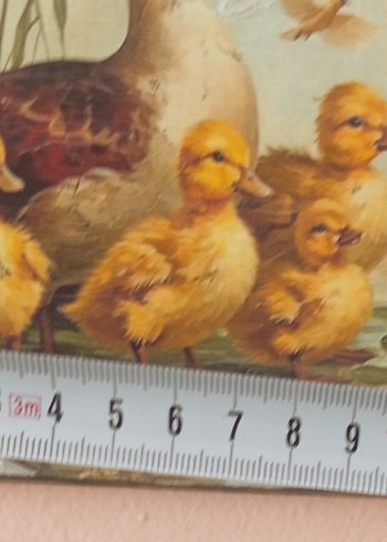 Beden kahverengi Renk Kahverengi Ördek ve Civcivler Tablosu