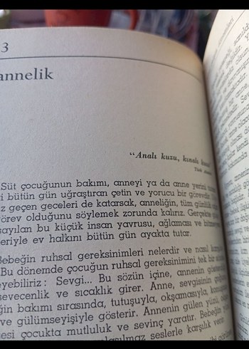 Çocuk Ruh Sağlığı - Prof. Dr. Atalay Yörükoğlu - Görsel 4