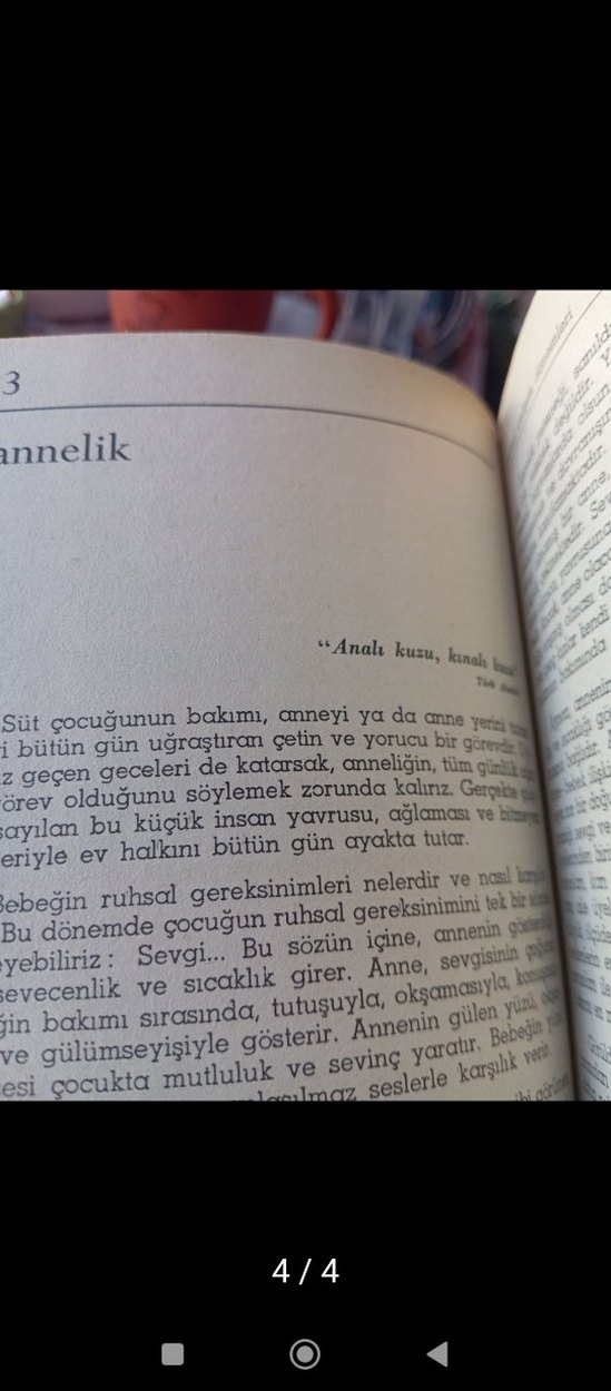 Çocuk Ruh Sağlığı - Prof. Dr. Atalay Yörükoğlu - Görsel 4