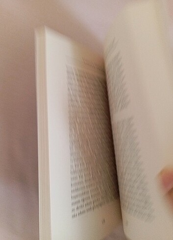 Steafan zweig bir politikacının portresi  - Görsel 2