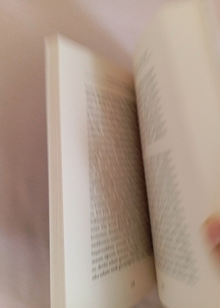 Steafan zweig bir politikacının portresi  - Görsel 2