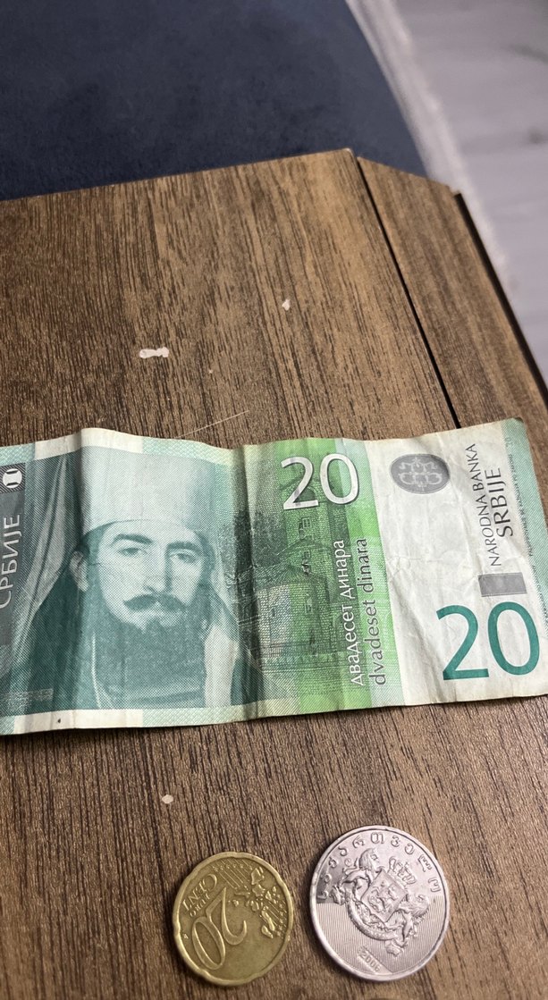 20 Sırbistan dinarı (2013) basımı - Görsel 3