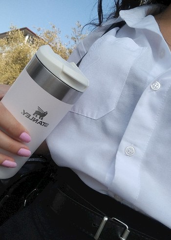 Stanley gül kurusu & pembe termos - Görsel 2