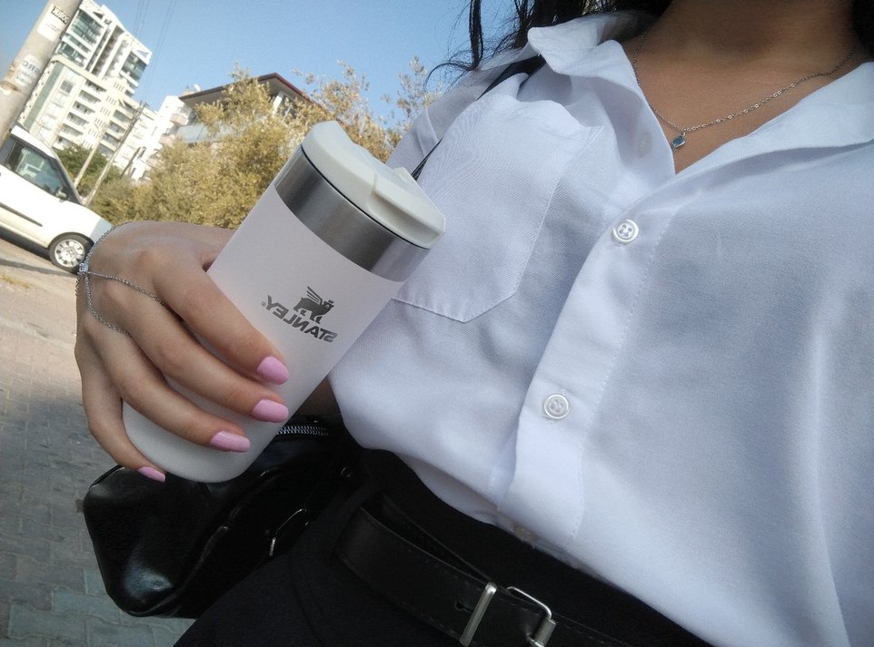 Stanley gül kurusu & pembe termos - Görsel 2