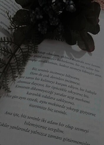 Onun şeytanları