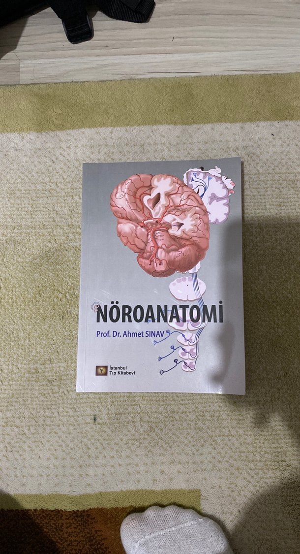 Nöroanatomi Kitabı Prof. Dr. Ahmet Sınav - Görsel 2