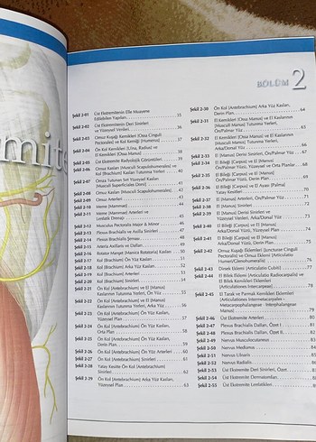 Lippincott Anatomi Atlası - 2. Baskı - Görsel 6