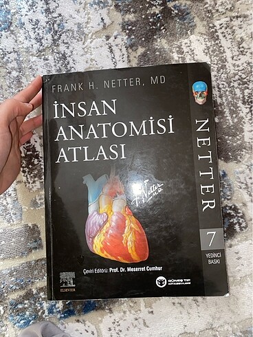 Merter anatomi atlası