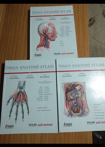 Anatomi Atlası Seti - Tacchetti, Gaudio, Anastas - Görsel 2