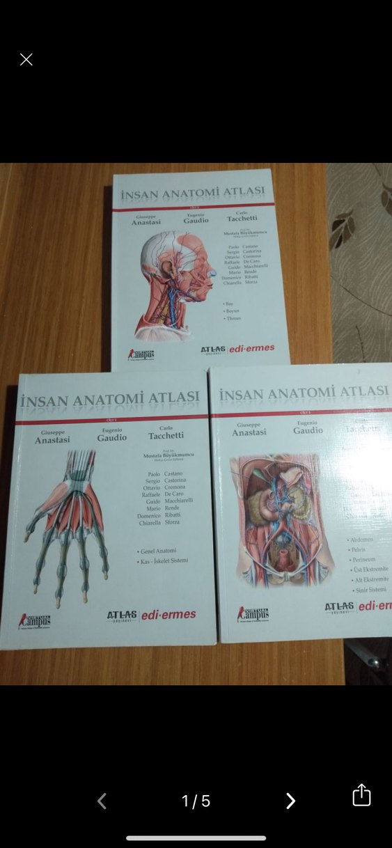 Anatomi Atlası Seti - Tacchetti, Gaudio, Anastas - Görsel 2