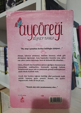  Ayçöreği 