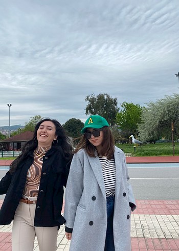 Stradi gri kaban - Görsel 4