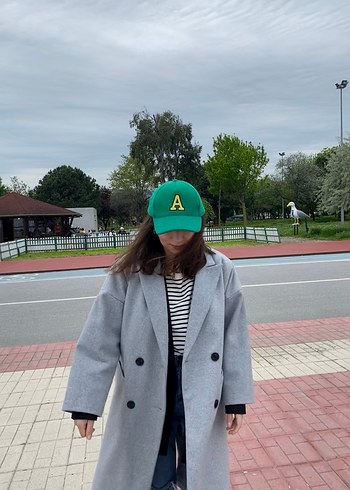 Stradi gri kaban - Görsel 5