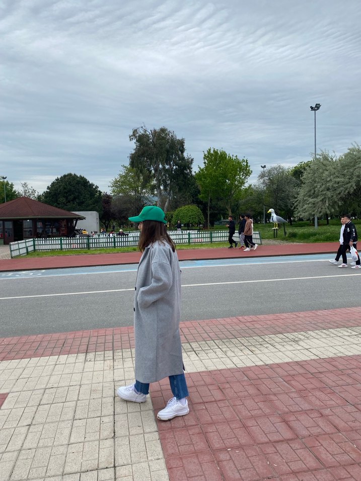 Stradi gri kaban - Görsel 3