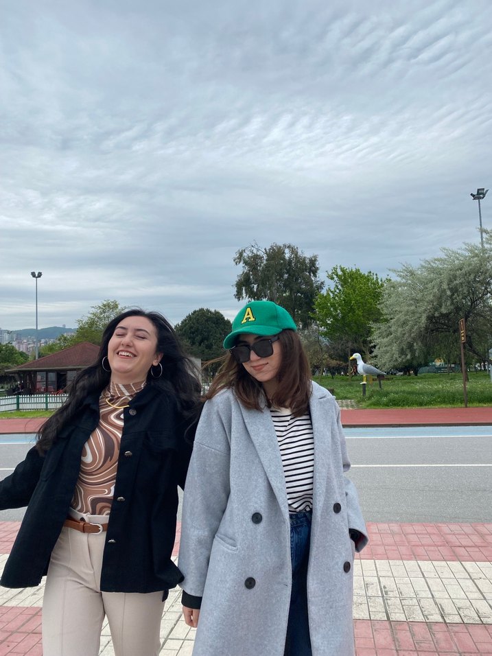 Stradi gri kaban - Görsel 4