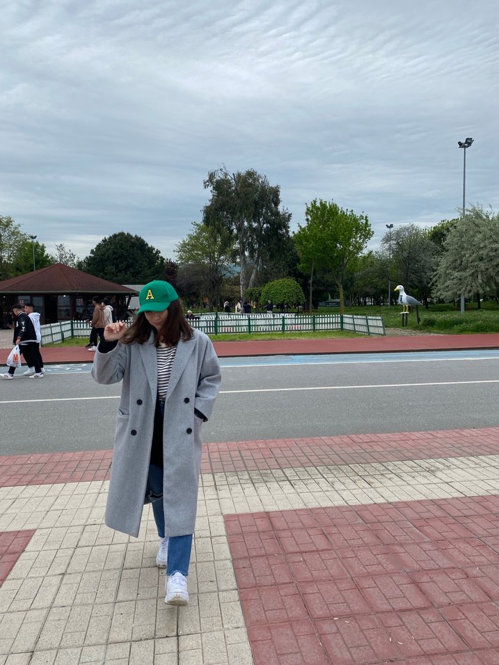 Stradi gri kaban - Görsel 2