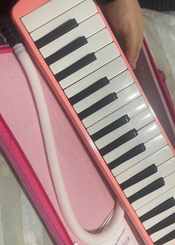 Melodika - Görsel 3