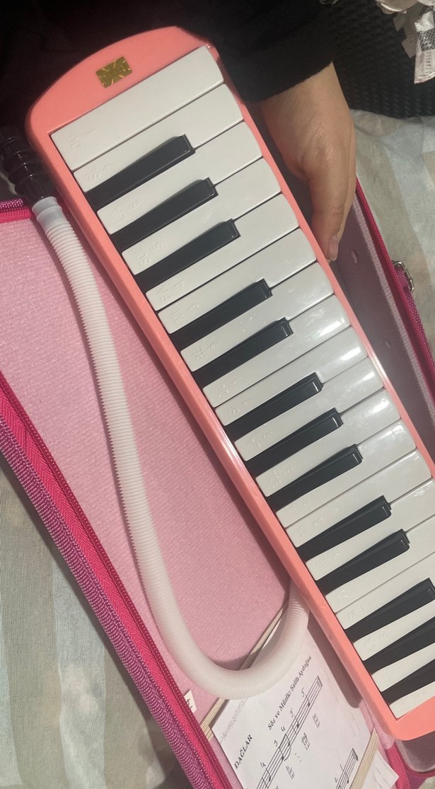 Melodika - Görsel 3