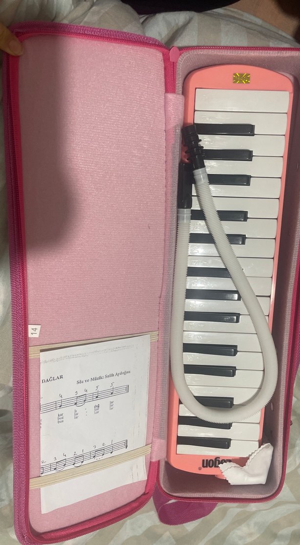 Melodika - Görsel 2