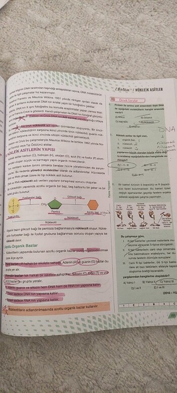  Biyoloji Palme Yayınları B kitabı