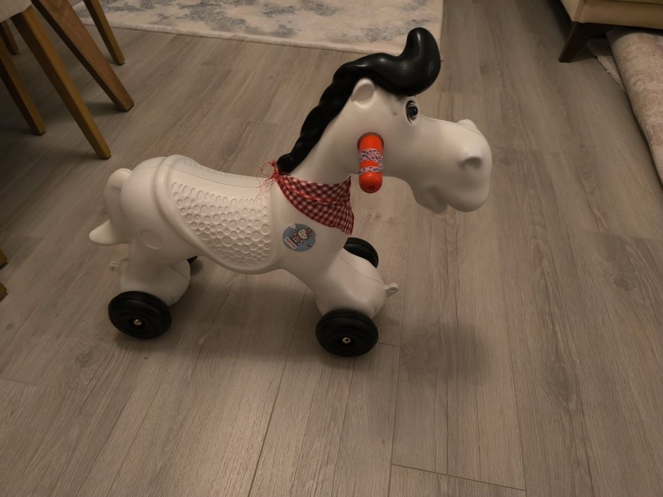 Sallanan At - Görsel 2