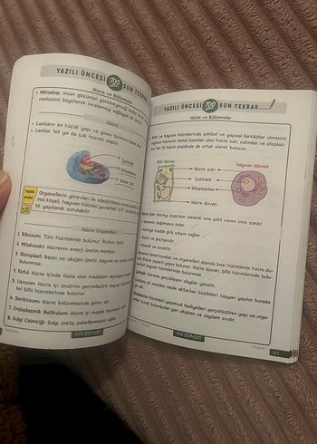 Tonguç 5. Sınıf 1. Dönem Yazılı Notları - Görsel 5