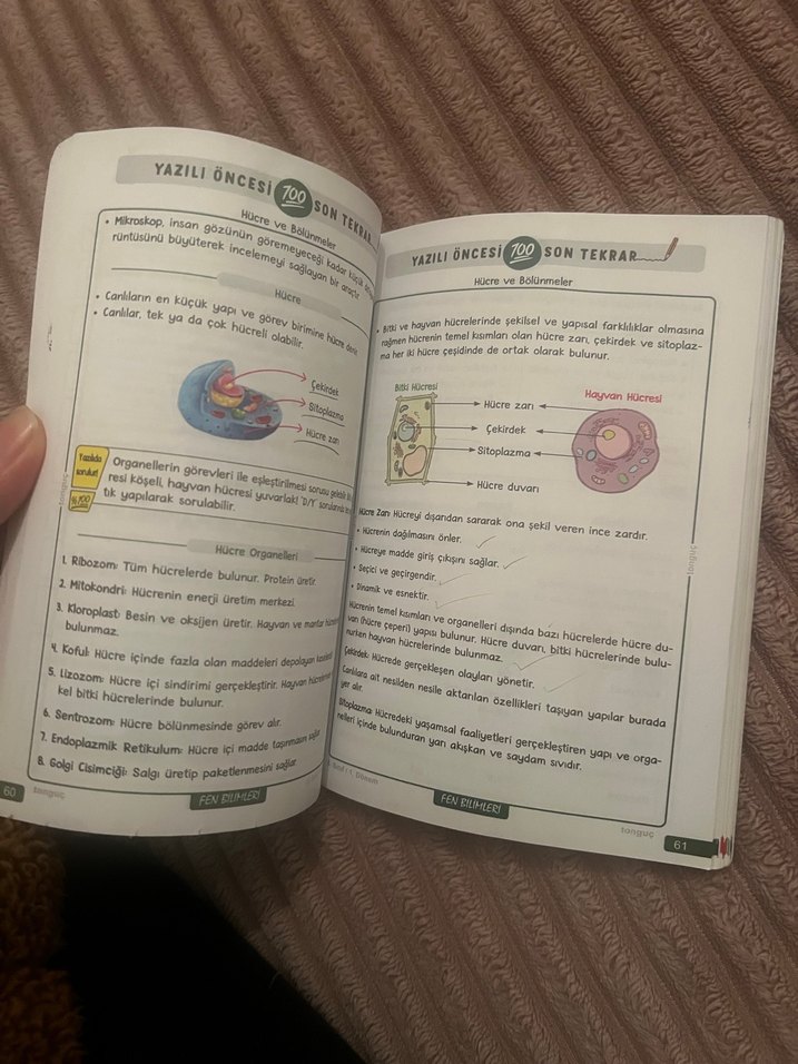 Tonguç 5. Sınıf 1. Dönem Yazılı Notları - Görsel 5