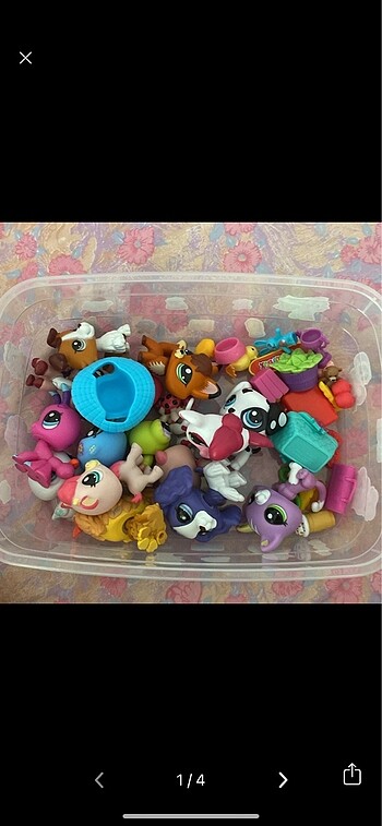 lps minisler