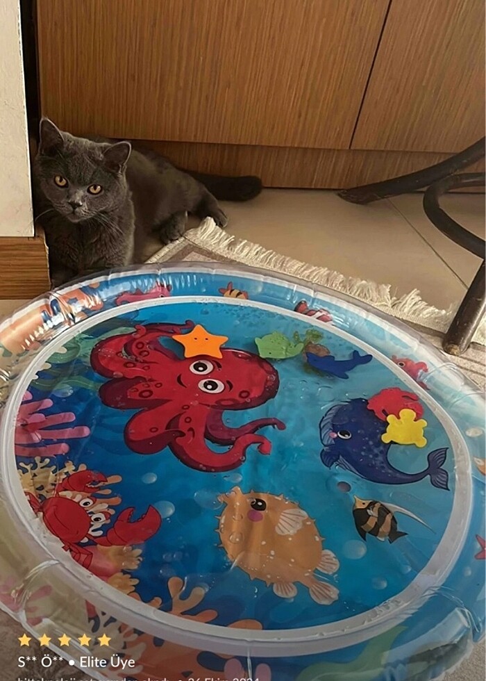 tummy aktivite su oyunu - Görsel 2