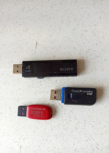 Sandisk Renkli Plastik USB Flash Bellek 4GB