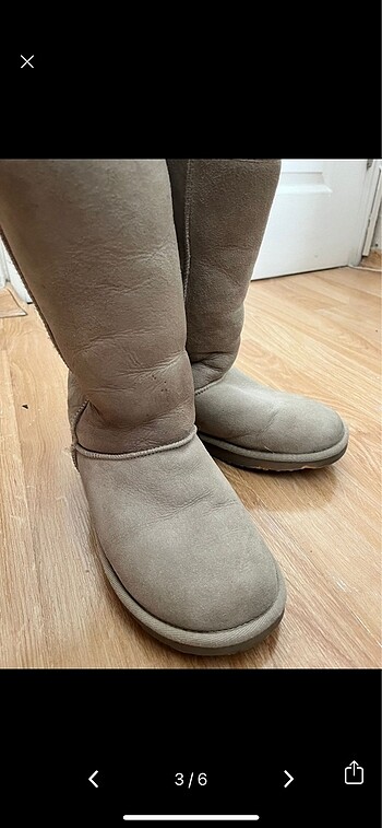 37 Beden Ugg bot