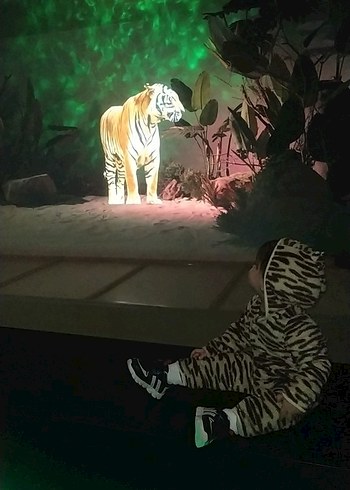 Kahverengi Zebra Desenli Bebek Tulumu - Görsel 5